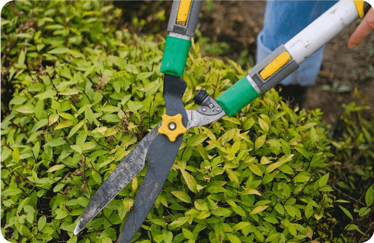Gardening & Landscaping